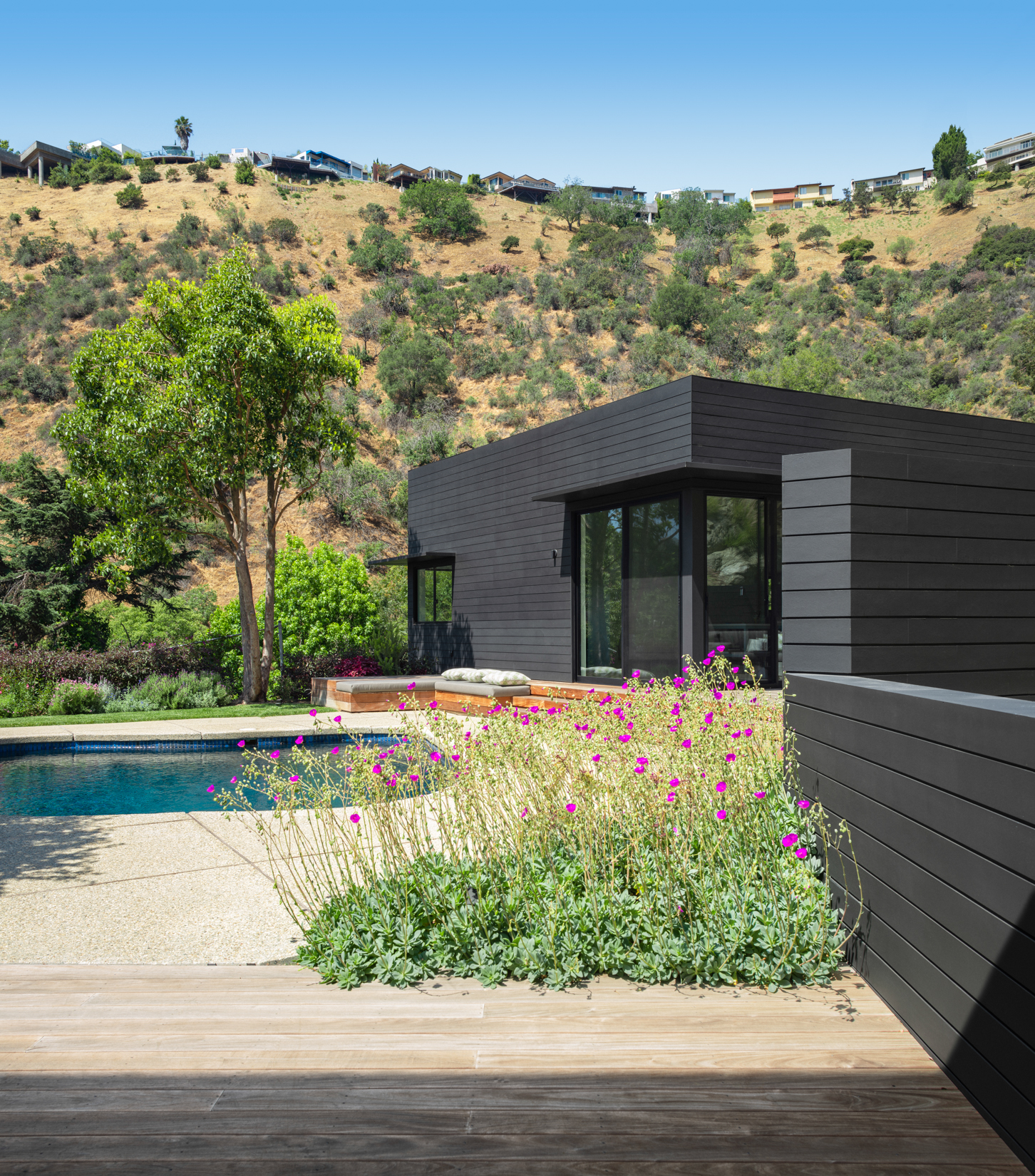 The finished Nichols Canyon residence: dark-clad hillside addition, pool, and garden